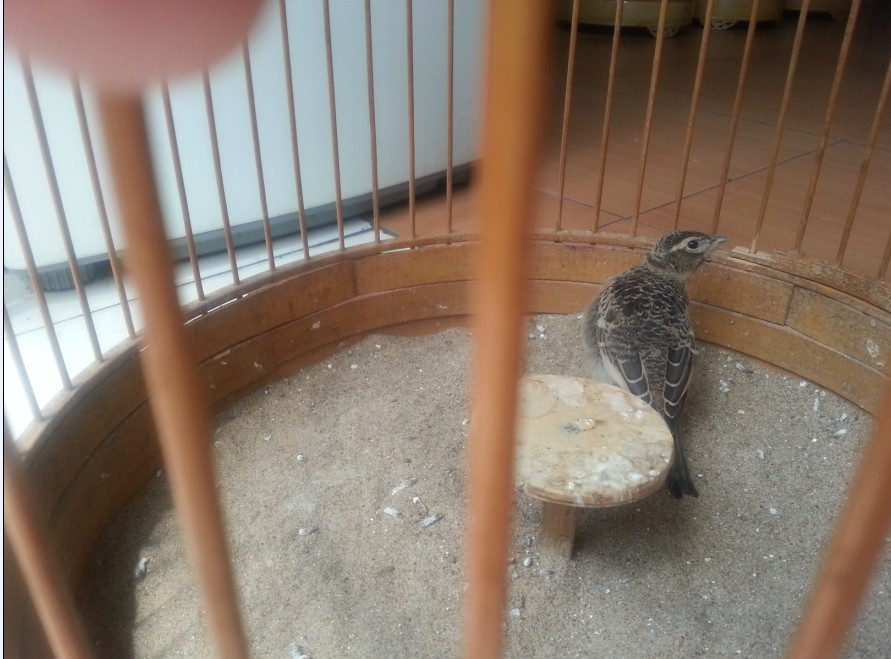 QQ图片20140613083739.jpg