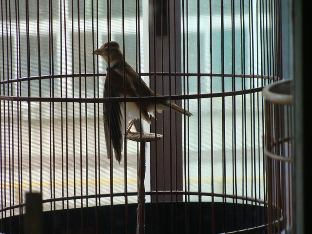 DSC03095.jpg