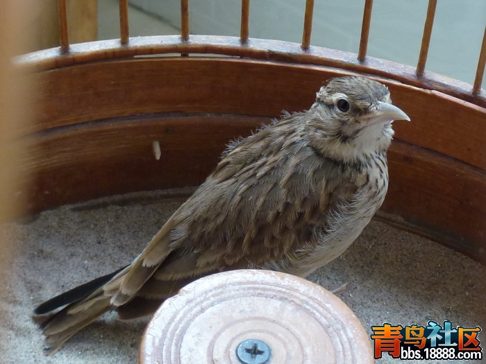 P1070279_调整大小.jpg