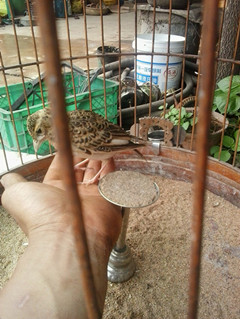 20140609_121809_副本.jpg