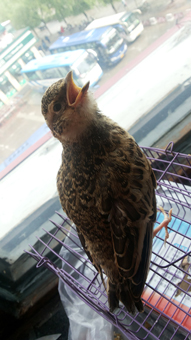 20140609_084449.jpg