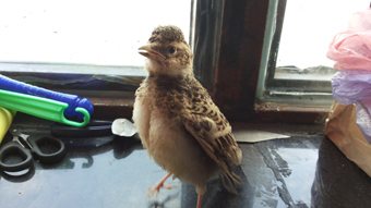 20140614_115531.jpg