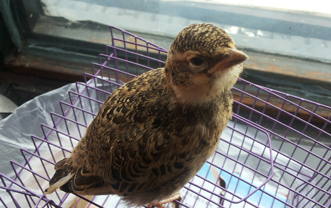 20140609_084143.jpg