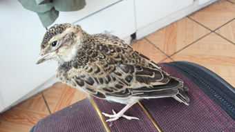 20140610_125739.jpg