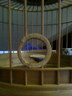 IMG0601190001.jpg