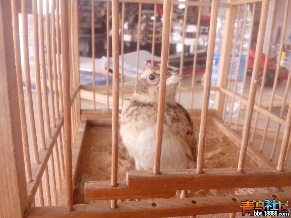 QQ图片20140625185904.jpg