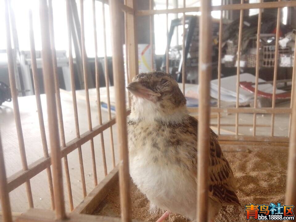 QQ图片20140625185839.jpg