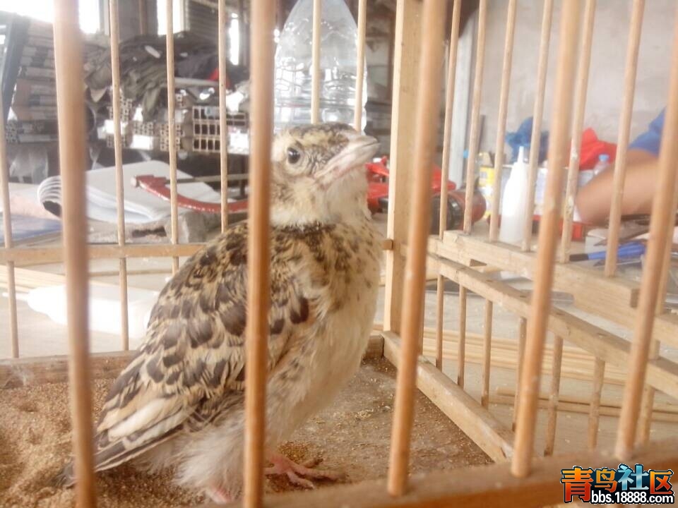QQ图片20140625185758.jpg