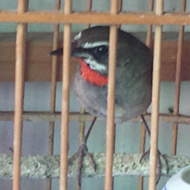 20140601_171213.jpg