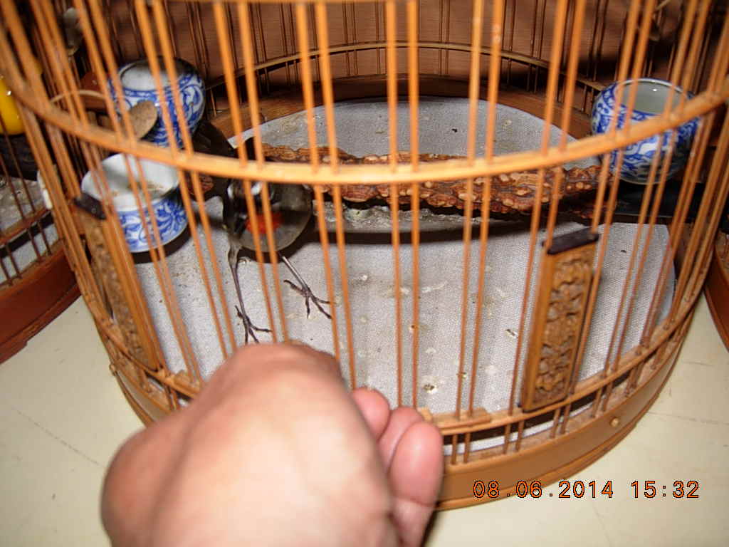 DSCN3853.JPG