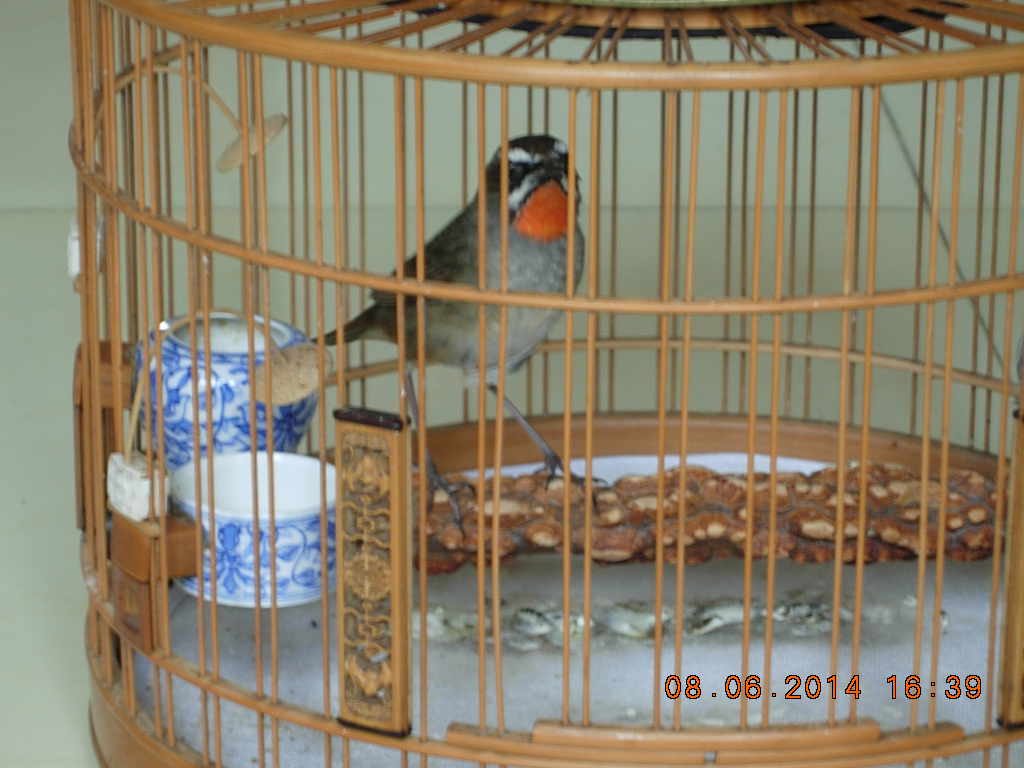 DSCN3867.JPG