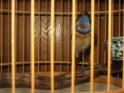 IMG_7408~1.jpg