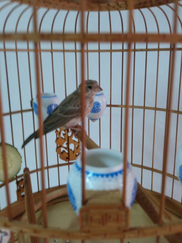 IMG20140606173601~1.jpg