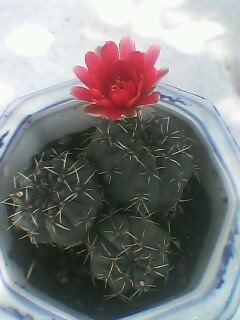IMG0272A.jpg