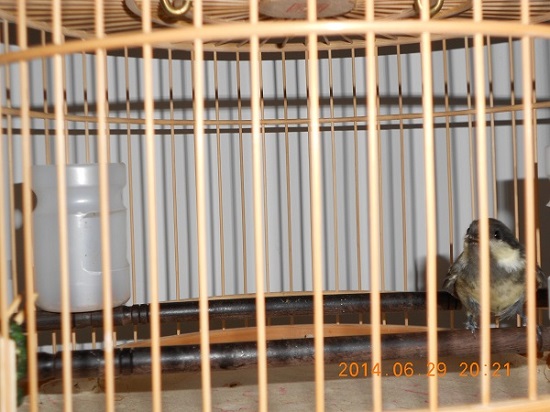 DSCN0277.JPG