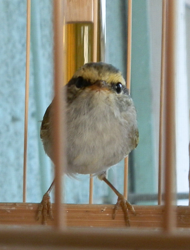 P4220186.JPG