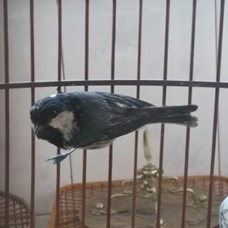 qq图片20140605220735_副本.jpg