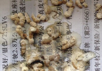 QQ图片20140610115517.jpg