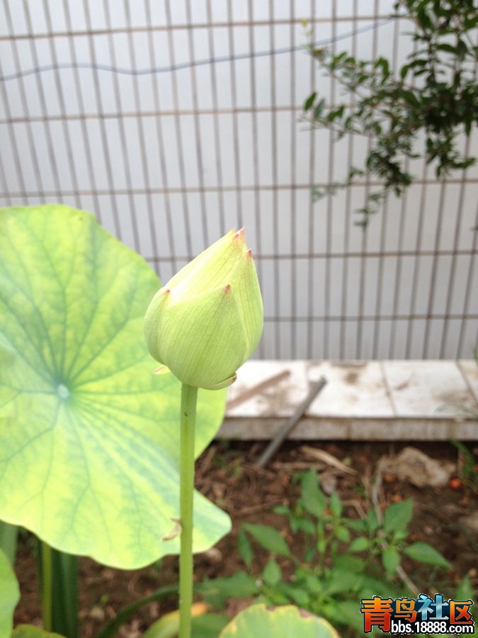 新建文件夹IMG_1569.jpg
