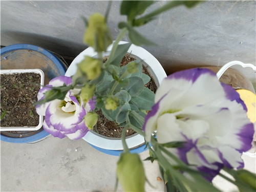 20140730_131035.jpg