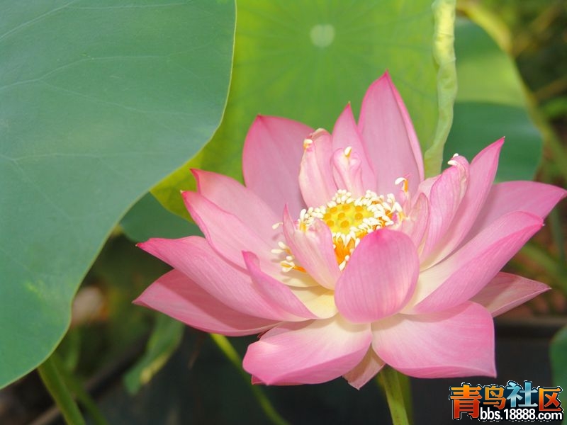 DSC02611_副本.jpg