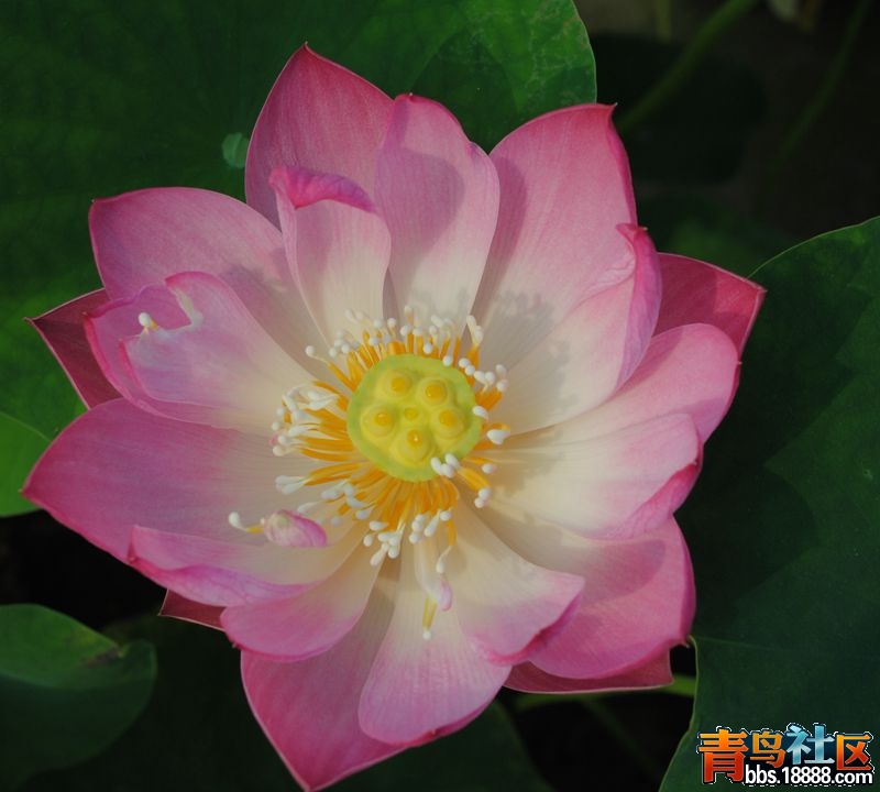 026_副本.jpg