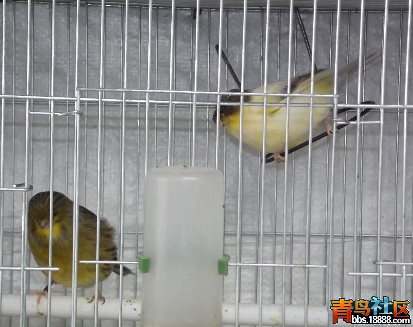 QQ图片20140723184124.jpg