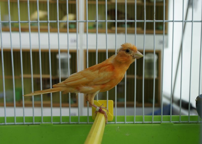 nEO_IMG__DSC7223.jpg
