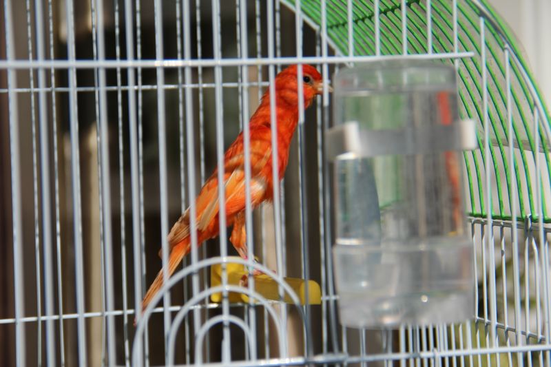 nEO_IMG_IMG_0025.jpg