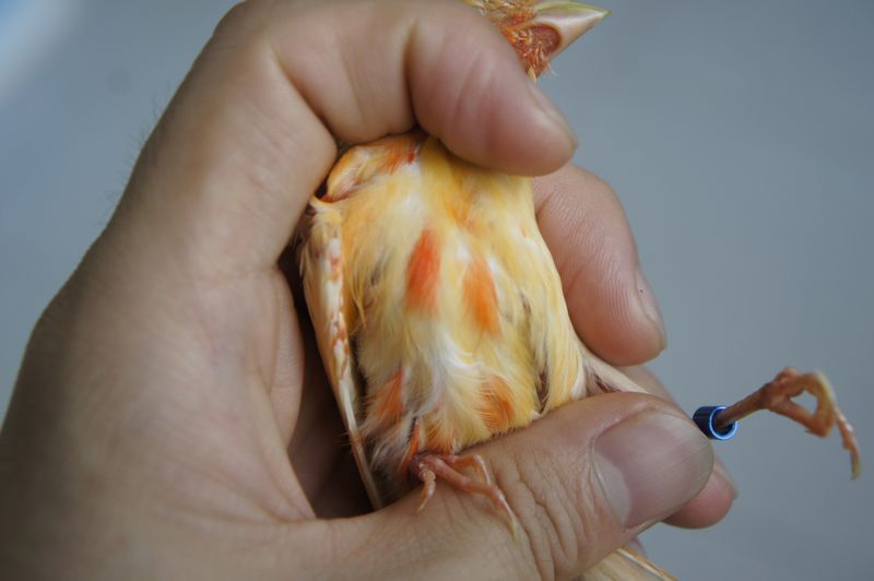 nEO_IMG__DSC7358.jpg