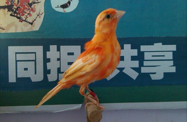 QQ图片20140730154658.jpg