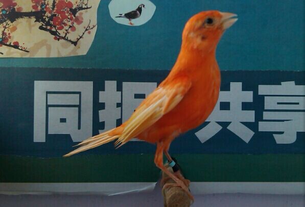QQ图片20140730155217.jpg