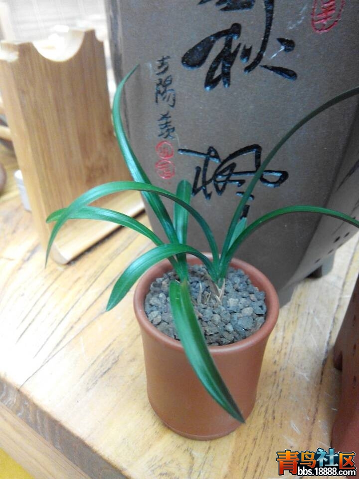 QQ图片20140729181227.jpg