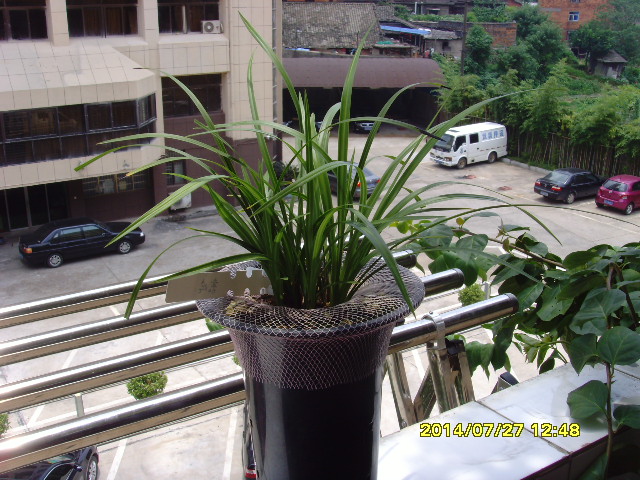 SNV37860.JPG