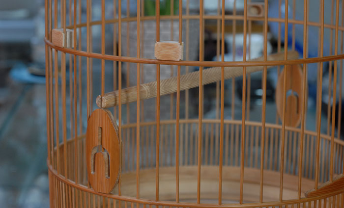 DSC_0008.JPG