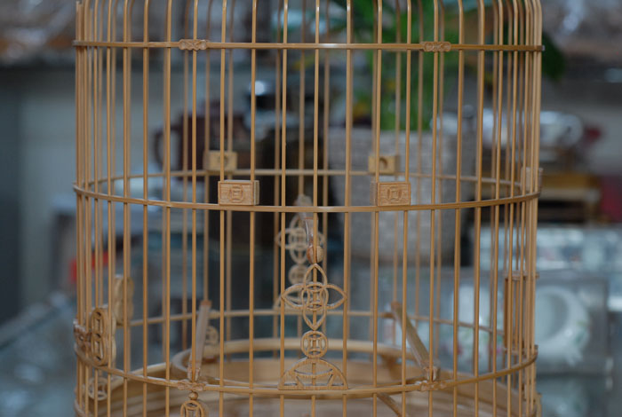 DSC_0013.JPG