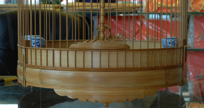 DSC_0070.JPG