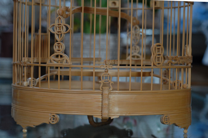 DSC_0017.JPG