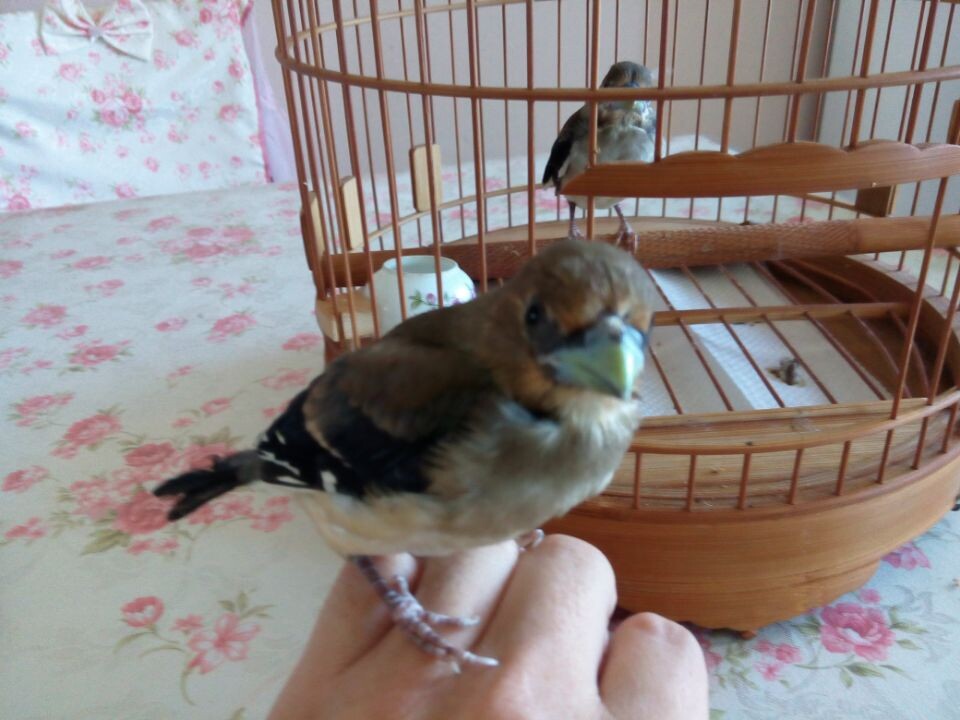 QQ图片20140710164501.jpg
