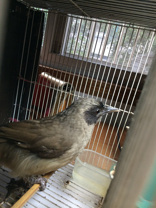 QQ图片20140721174121_副本.jpg