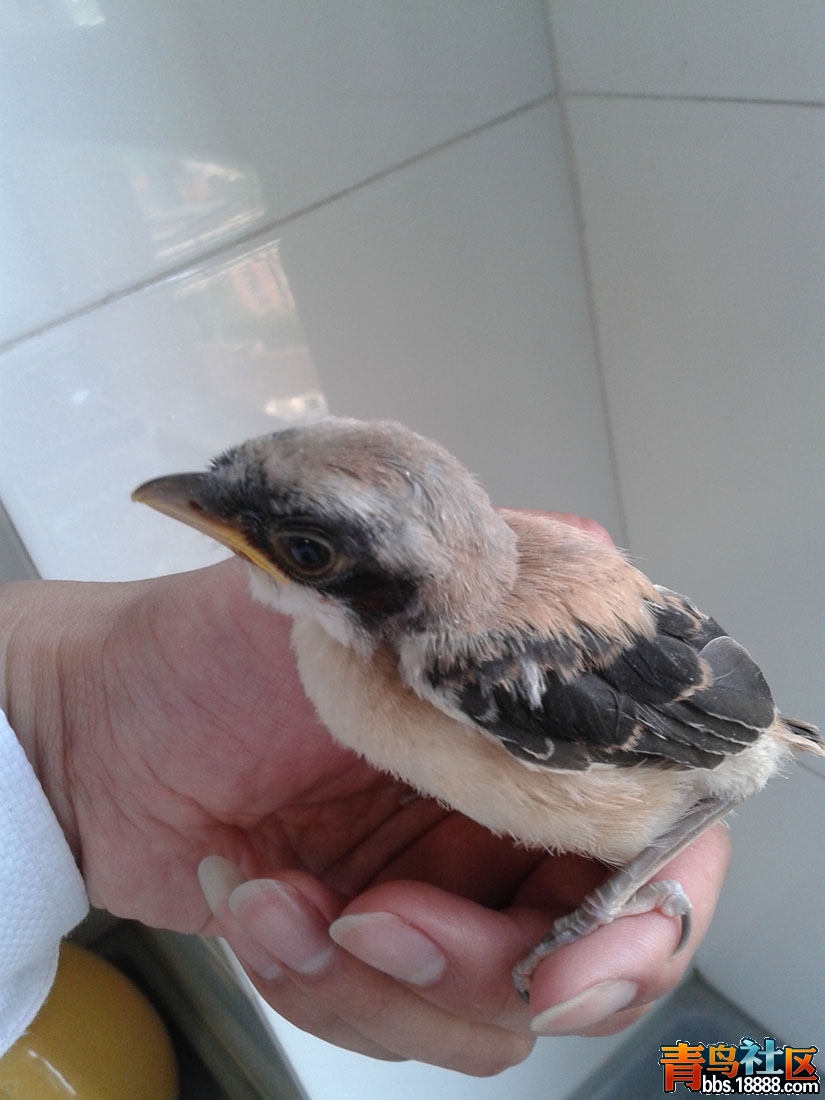 20140508_170125.jpg
