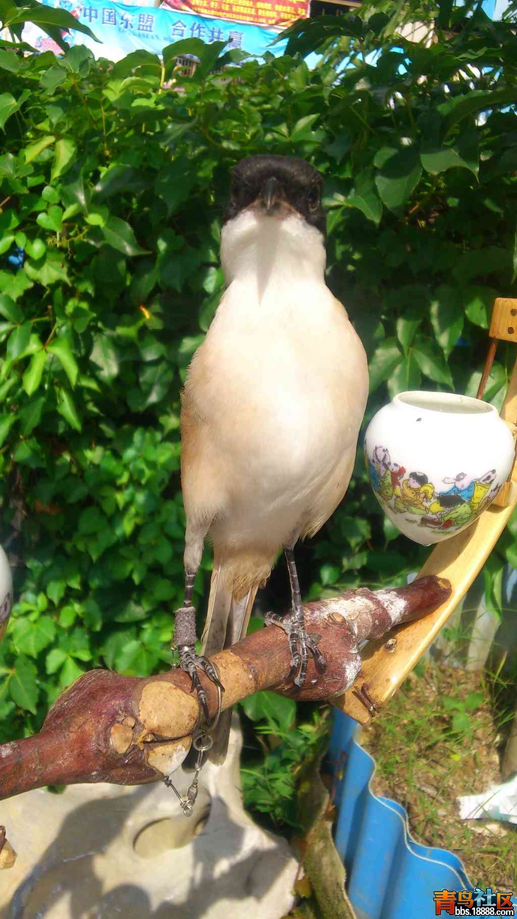 DSC_0259.jpg
