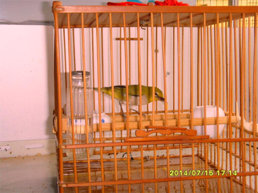 SNV33648.JPG
