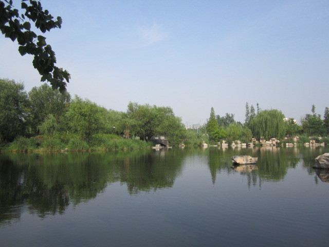10.JPG