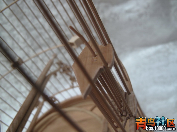 IMG_7995_调整大小.JPG