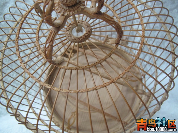 IMG_8225_调整大小.JPG