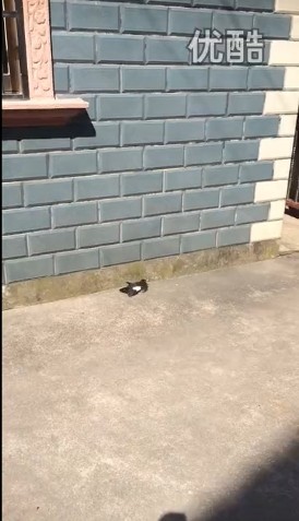 QQ图片20140731211831.jpg