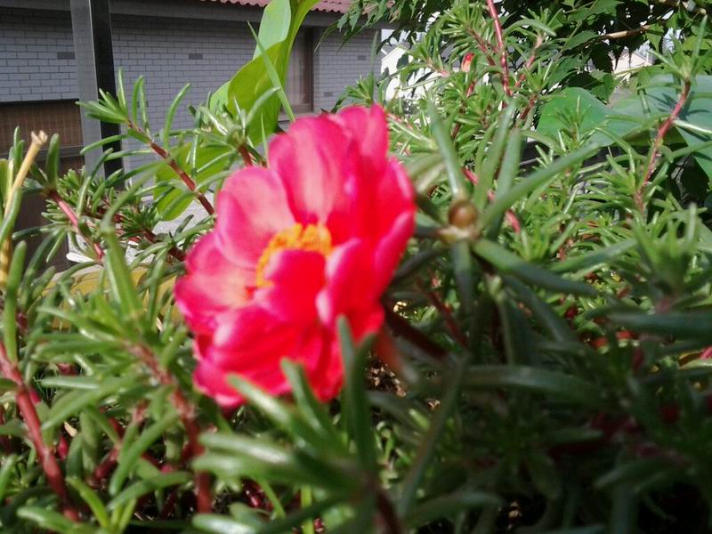 20140714183047.jpg
