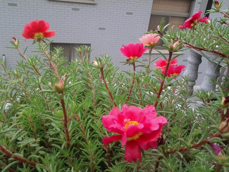 20140714183002.jpg