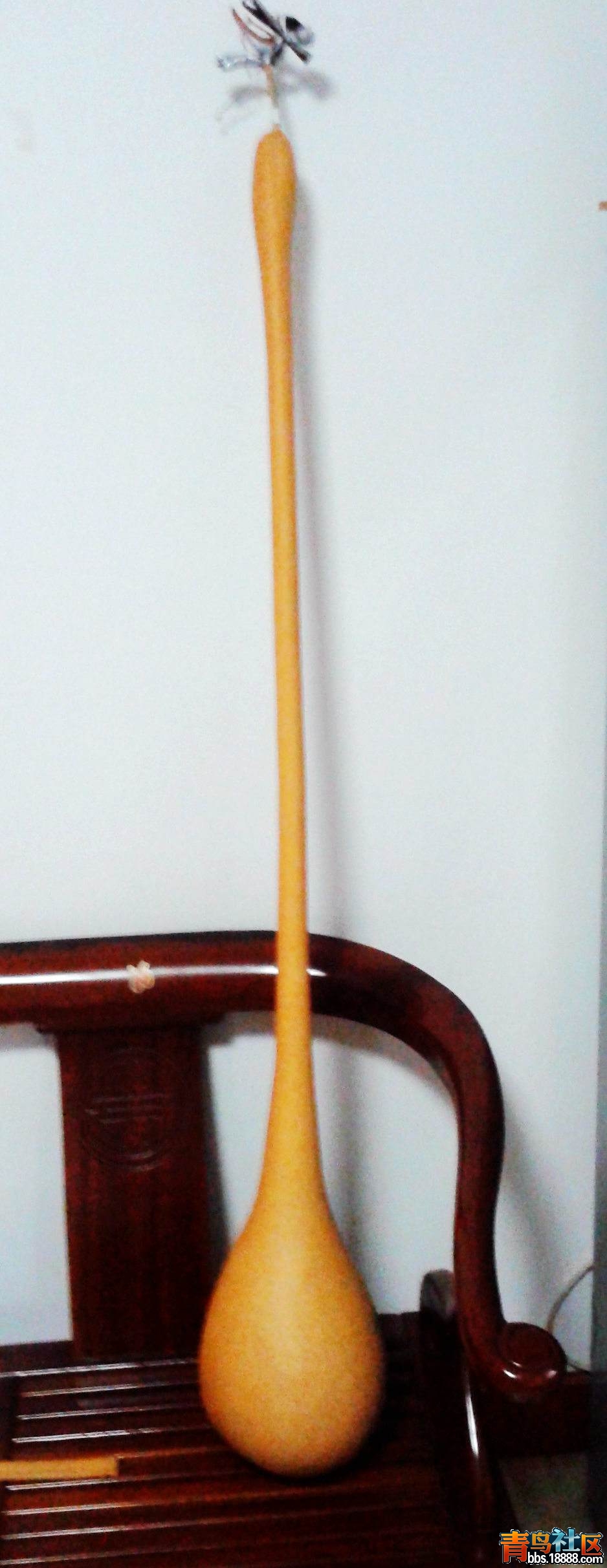 20140712_181830.jpg